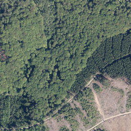 Satellite imagery of Homberg, DE