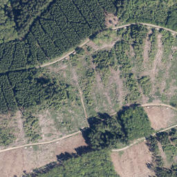 Satellite imagery of Homberg, DE