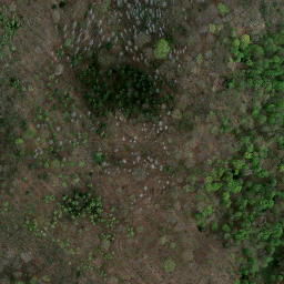 Satellite imagery of Książ - zamek warowny XIIIw., PL