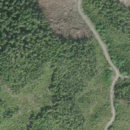 Satellite imagery of Griffiths Point, CA