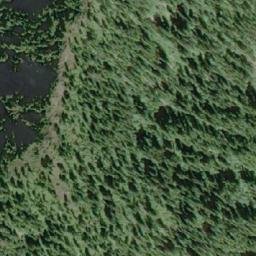 Satellite imagery of Mount Watson, CA