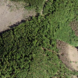 Satellite imagery of Wasenecke, DE