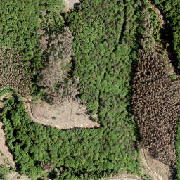 Satellite imagery of Wasenecke, DE