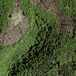 Satellite imagery of Wasenecke, DE
