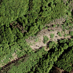 Satellite imagery of Giebelberg, DE