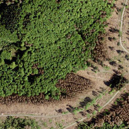 Satellite imagery of Giebelberg, DE