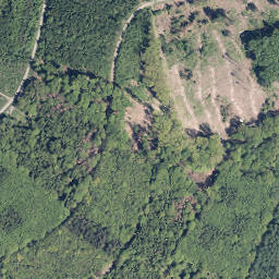 Satellite imagery of Eisernhardt, DE