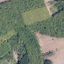 Satellite imagery of Homberg, DE