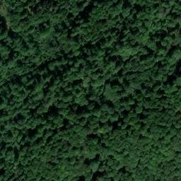 Satellite imagery of Eichelhardt, DE