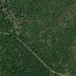 Satellite imagery of Holubník, CZ