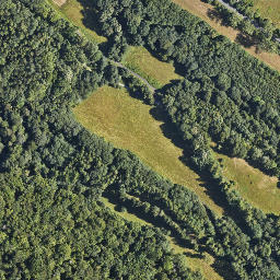 Satellite imagery of Zamek Chojnik, PL