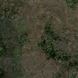 Satellite imagery of Książ - zamek warowny XIIIw., PL