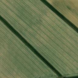 Satellite imagery of Tarrant Abbey, GB