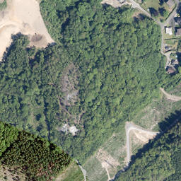 Satellite imagery of Hirzhornberg, DE