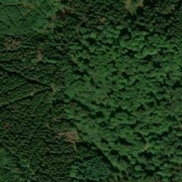 Satellite imagery of Unterer Beerberg, DE