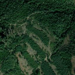 Satellite imagery of Vidlák [Děčín-Dolní Žleb], CZ