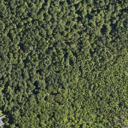 Satellite imagery of Zamek Chojnik, PL