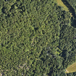 Satellite imagery of Zamek Chojnik, PL