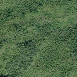 Satellite imagery of Pollard Point, CA