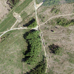 Satellite imagery of Hirzhornberg, DE