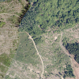 Satellite imagery of Hirzhornberg, DE