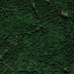 Satellite imagery of Gehege, DE