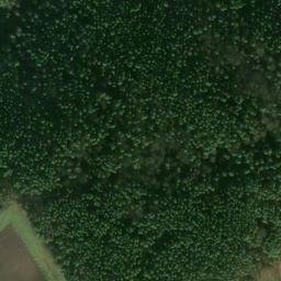 Satellite imagery of Heidenberg, DE