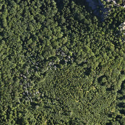 Satellite imagery of Zamek Chojnik, PL