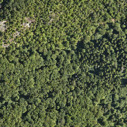 Satellite imagery of Zamek Chojnik, PL