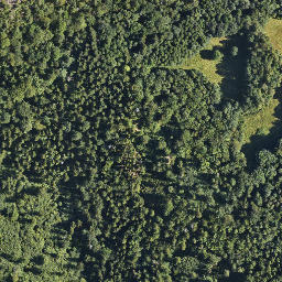 Satellite imagery of Zamek Chojnik, PL
