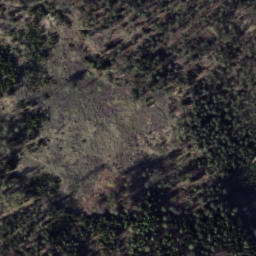 Satellite imagery of Starozytny wal kultowy, PL
