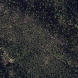 Satellite imagery of Starozytny wal kultowy, PL