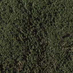 Satellite imagery of Semaphore Point, CA