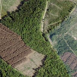Satellite imagery of Hirzhornberg, DE