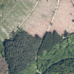 Satellite imagery of Hirzhornberg, DE