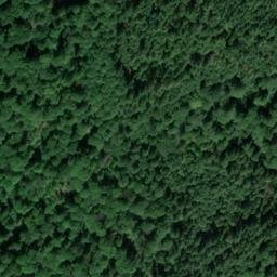 Satellite imagery of Bernhardt, DE