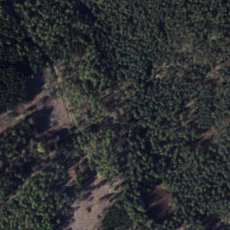 Satellite imagery of Starozytny wal kultowy, PL