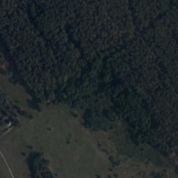 Satelita