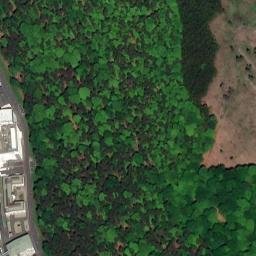 Satellite imagery of Gebrannter Berg, DE
