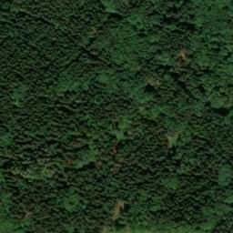 Satellite imagery of Gehege, DE
