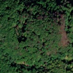 Satellite imagery of Javor, CZ