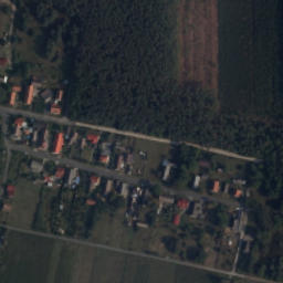 Satelita