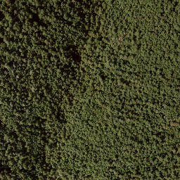 Satellite imagery of Bastion Mountain, CA