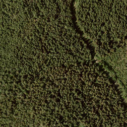 Satellite imagery of Bastion Mountain, CA