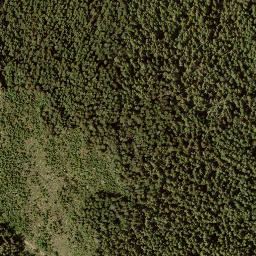 Satellite imagery of Bastion Mountain, CA