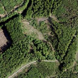 Satellite imagery of Brühlkopf, DE