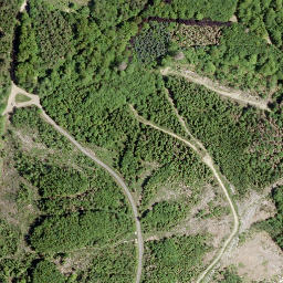 Satellite imagery of Brühlkopf, DE