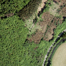 Satellite imagery of Ringelscheid, DE