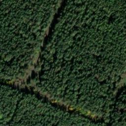 Satellite imagery of Bienstein, DE