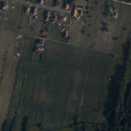 Satelita